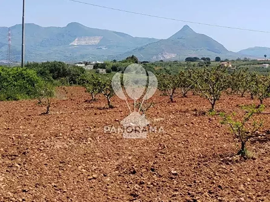 Immagine 15 di Terreno in vendita  in Via Adda Partinico a Partinico