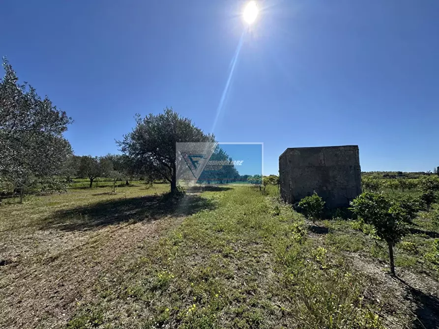 Immagine 9 di Terreno in vendita  a Noto