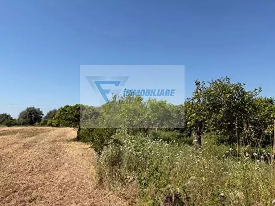Immagine 16 di Terreno in vendita  in Strada Tremmilia a Siracusa