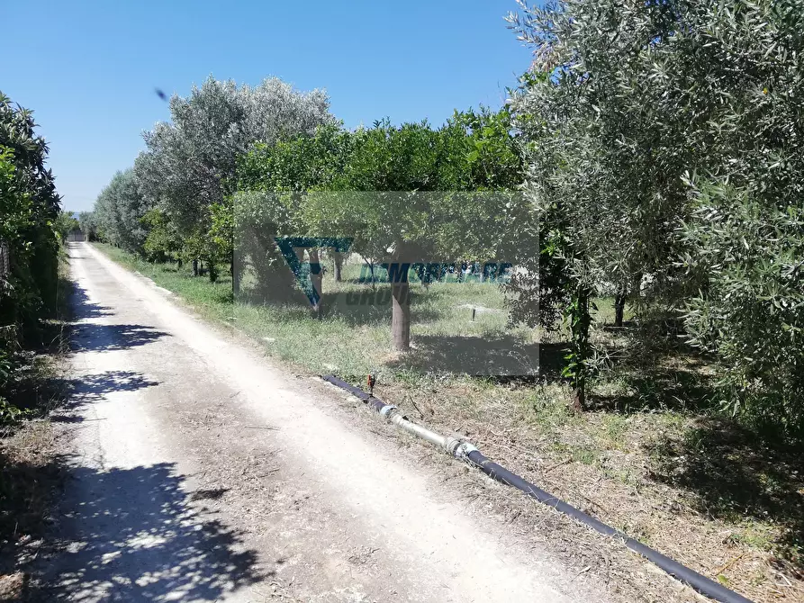 Immagine 11 di Terreno edificabile in vendita  in Traversa Vallone Carancino a Siracusa