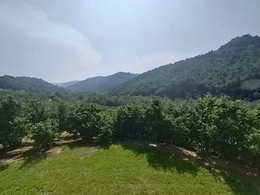 Immagine 35 di Terreno edificabile in vendita  a Albaretto Della Torre