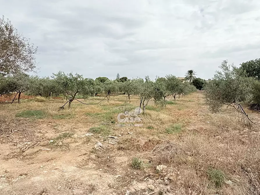 Immagine 41 di Terreno edificabile in vendita  a Marsala