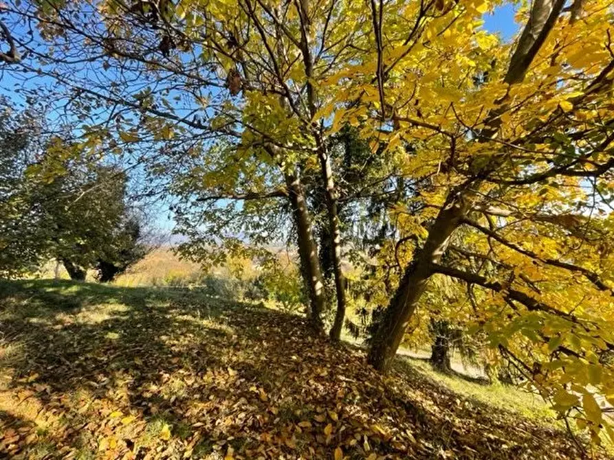 Immagine 9 di Terreno edificabile in vendita  a Refrontolo