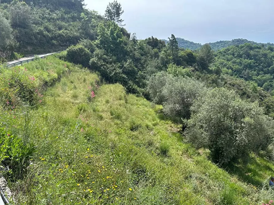Immagine 1 di Terreno edificabile in vendita  in Frazione Verrandi, 9 a Ventimiglia