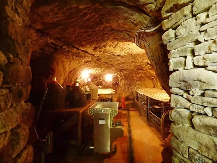 Immagine 10 di Terreno edificabile in vendita  a Ceva