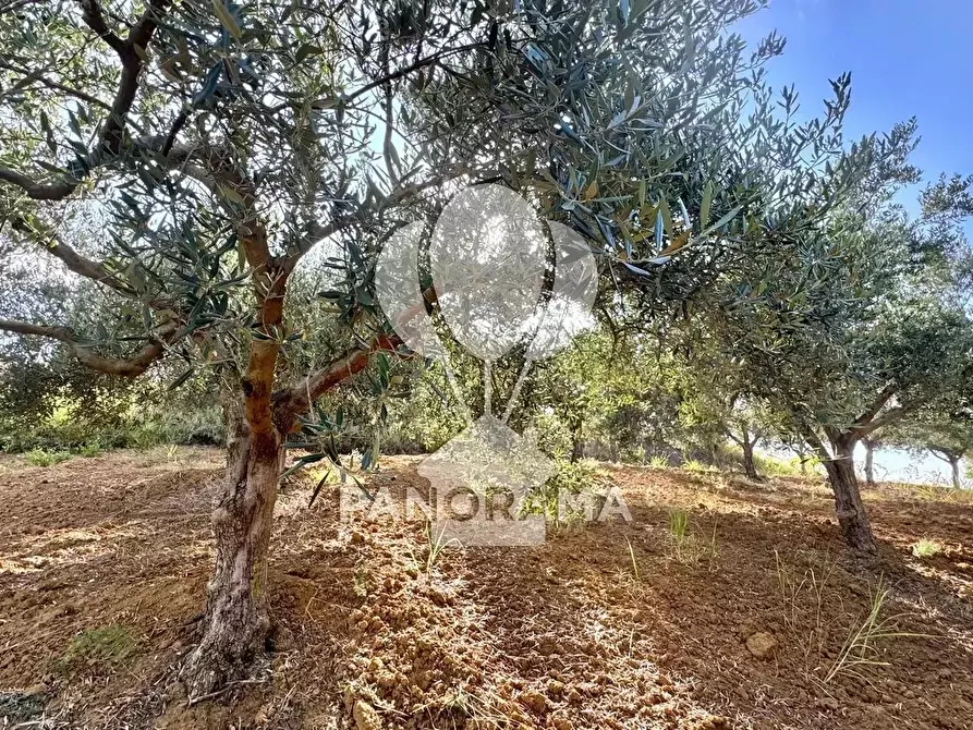 Immagine 25 di Terreno edificabile in vendita  in Contrada Casale a Alcamo