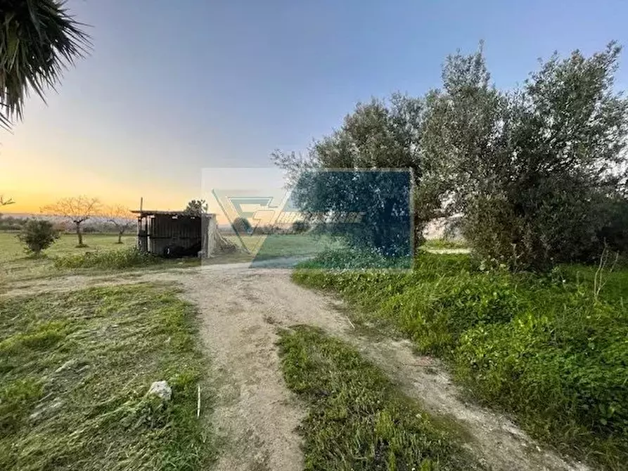 Immagine 14 di Terreno in vendita  in C.da Carancino a Siracusa