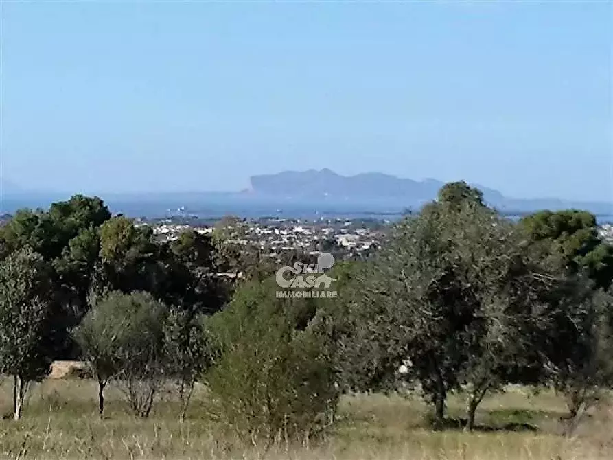 Immagine 4 di Terreno in vendita  a Marsala