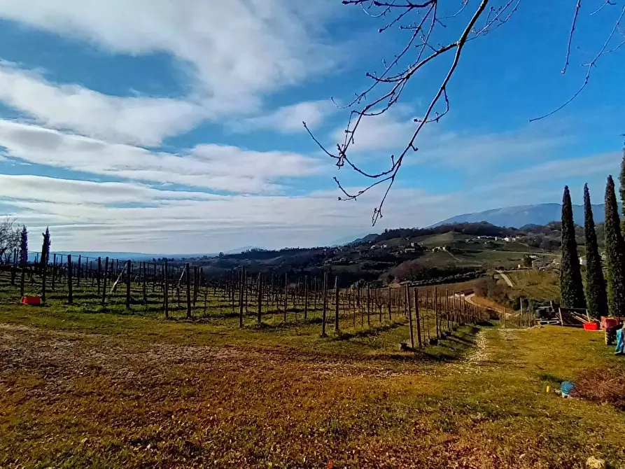 Immagine 3 di Terreno edificabile in vendita  a Refrontolo