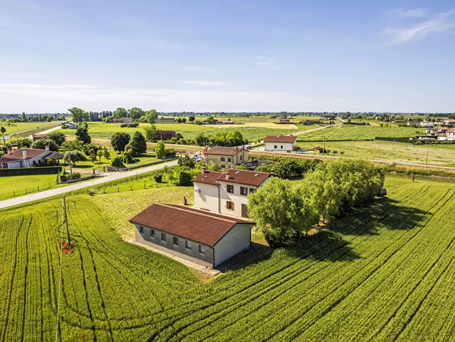Immagine 7 di Terreno edificabile in vendita  a Albignasego
