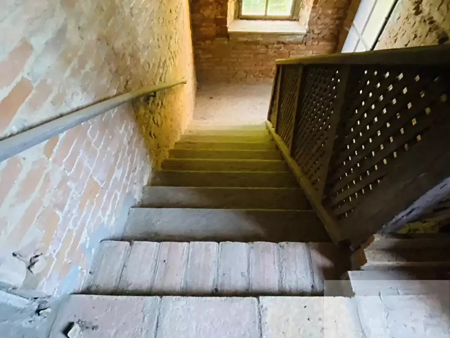 Immagine 8 di Terreno edificabile in vendita  a Bassignana