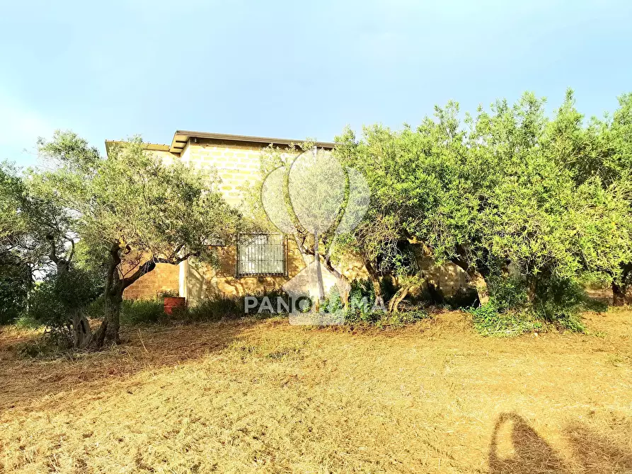 Immagine 18 di Terreno edificabile in vendita  in SS113 a Partinico
