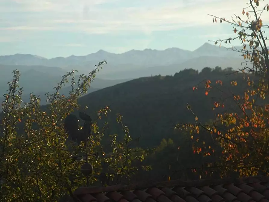 Immagine 14 di Attico in vendita  a Alto