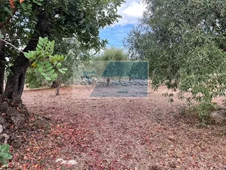 terreno agricolo in vendita a Buccheri