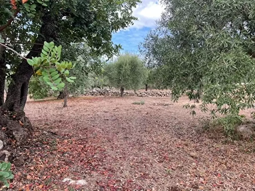 Immagine 1 di Terreno in vendita  in Contrada Trigona a Buccheri