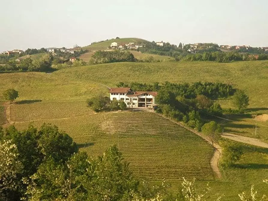 Immagine 1 di Terreno edificabile in vendita  a Barolo