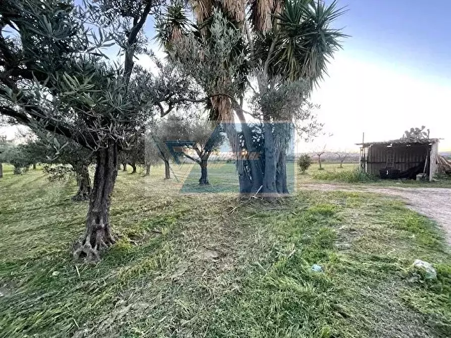 Immagine 12 di Terreno in vendita  in C.da Carancino a Siracusa