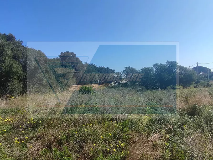 Immagine 3 di Terreno in vendita  a Siracusa