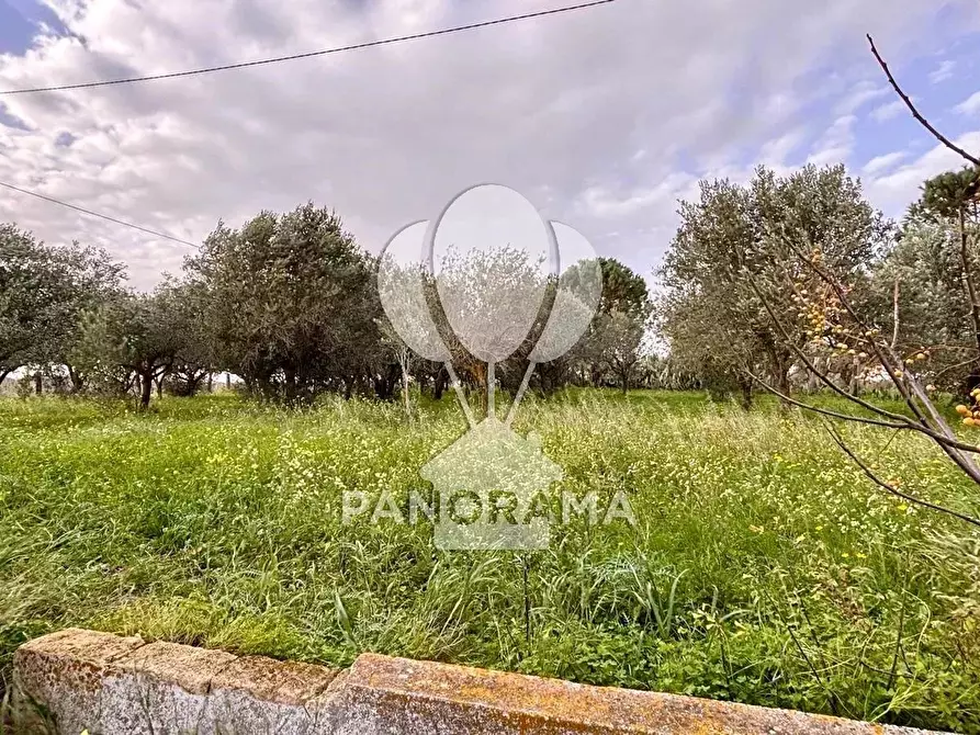 Immagine 7 di Terreno edificabile in vendita  in Contrada Bosco Falconeria SNC, 90047 Partinico PA, Italy a Partinico