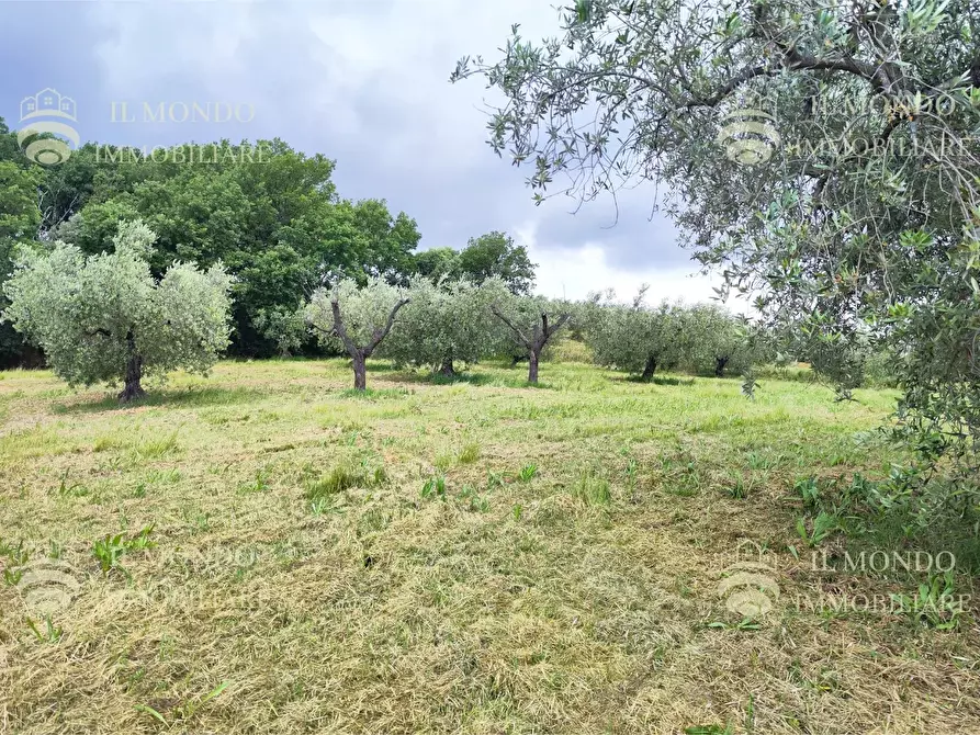 Immagine 11 di Casa bifamiliare in vendita  in Strada di Colle Fagiano a Palombara Sabina