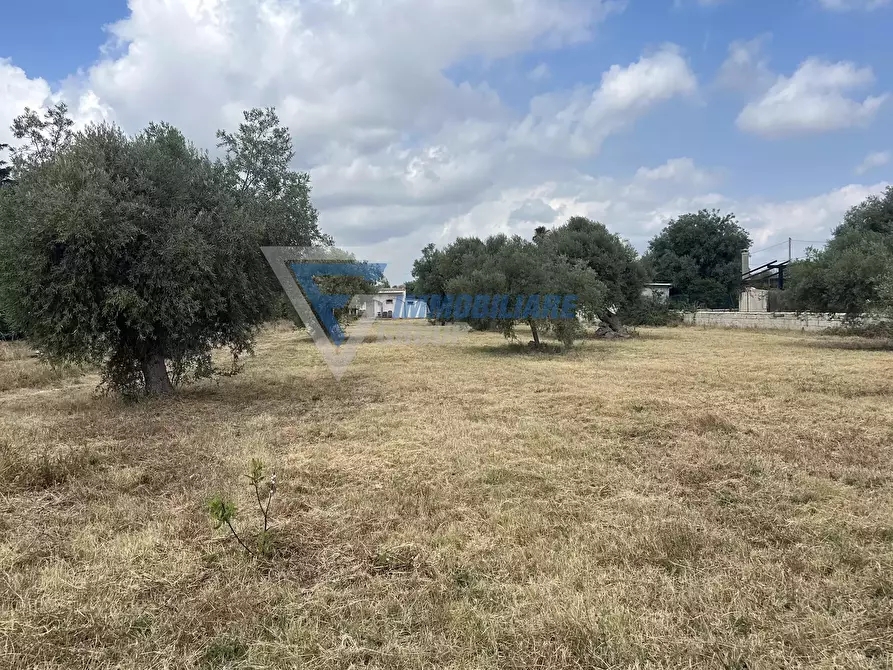 Immagine 37 di Terreno edificabile in vendita  in Traversa Masseria Gargallo a Siracusa