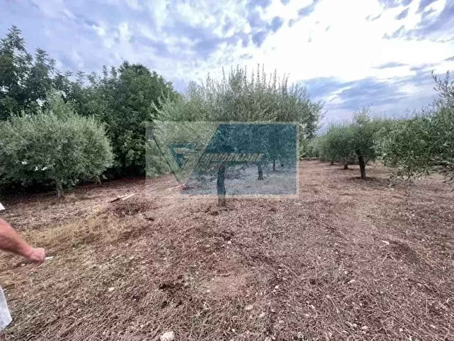 Immagine 5 di Terreno in vendita  in Contrada Trigona a Buccheri