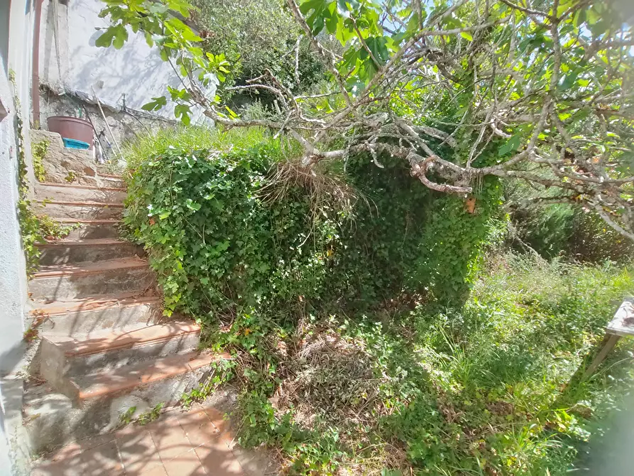 Immagine 22 di Terreno edificabile in vendita  a Apricale