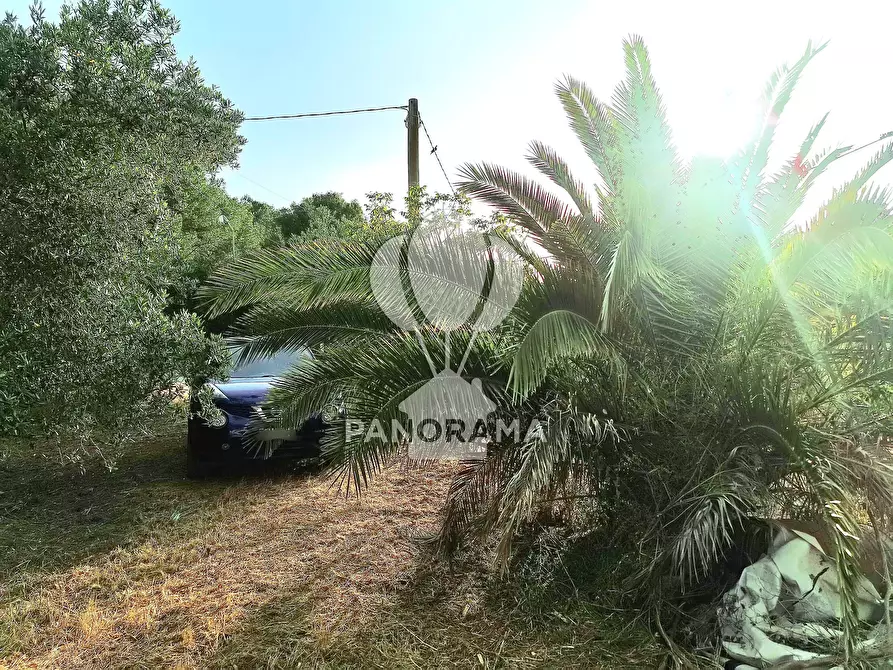 Immagine 16 di Terreno edificabile in vendita  in SS113 a Partinico