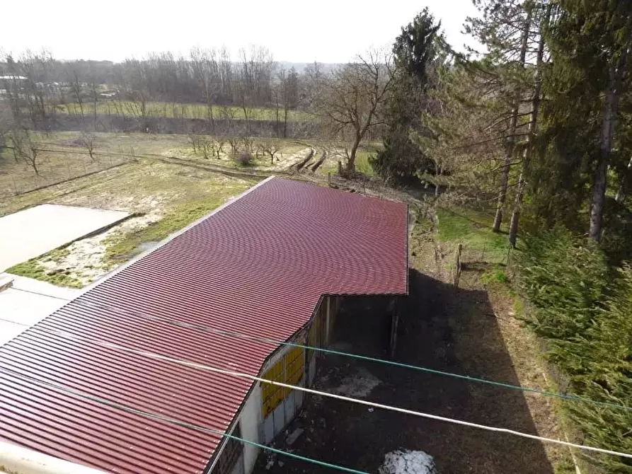 Immagine 3 di Terreno edificabile in vendita  a Barolo