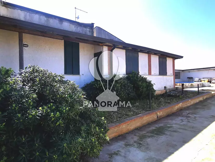 Immagine 8 di Terreno edificabile in vendita  in B&B falconeria a Partinico