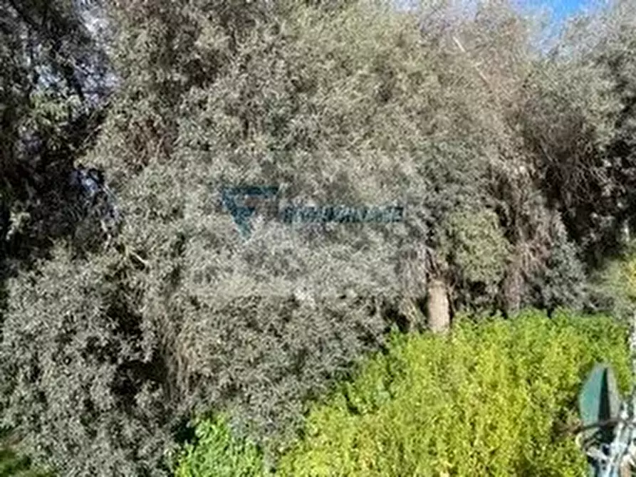Immagine 3 di Terreno in vendita  in Via Goffredo Mameli a Siracusa