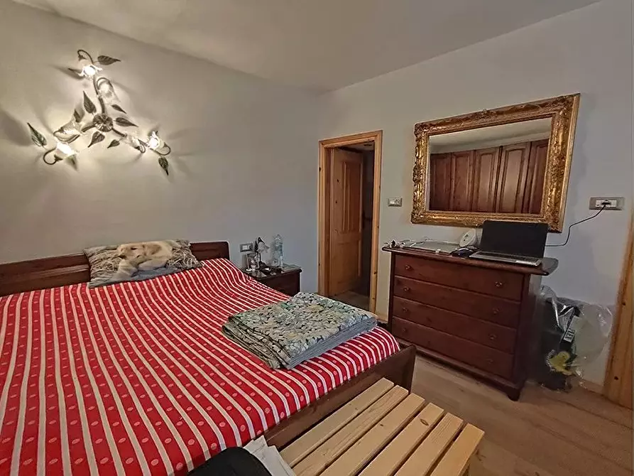 Immagine 40 di Terreno edificabile in vendita  a Bellino