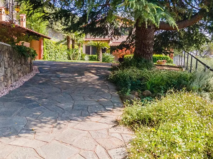 Immagine 28 di Terreno edificabile in vendita  in Strada degli Olandesi a Camporosso