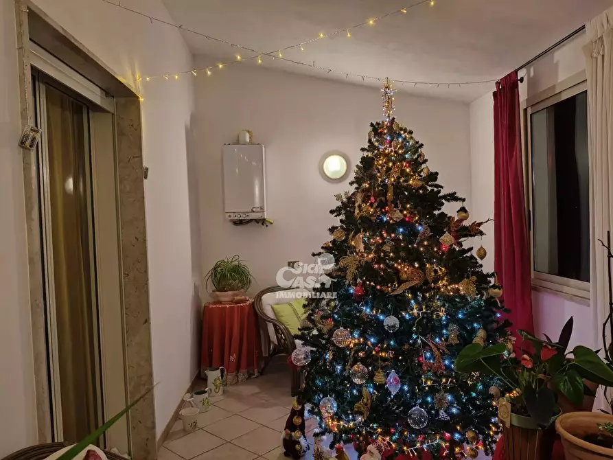 Immagine 4 di Terreno edificabile in vendita  a Mazara Del Vallo