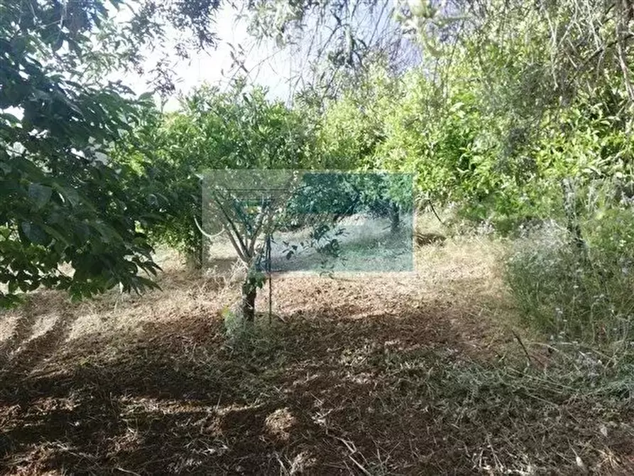 Immagine 7 di Terreno in vendita  a Siracusa