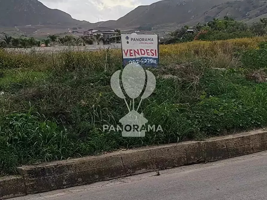 Immagine 4 di Terreno in vendita  in Rurale 14 a Partinico