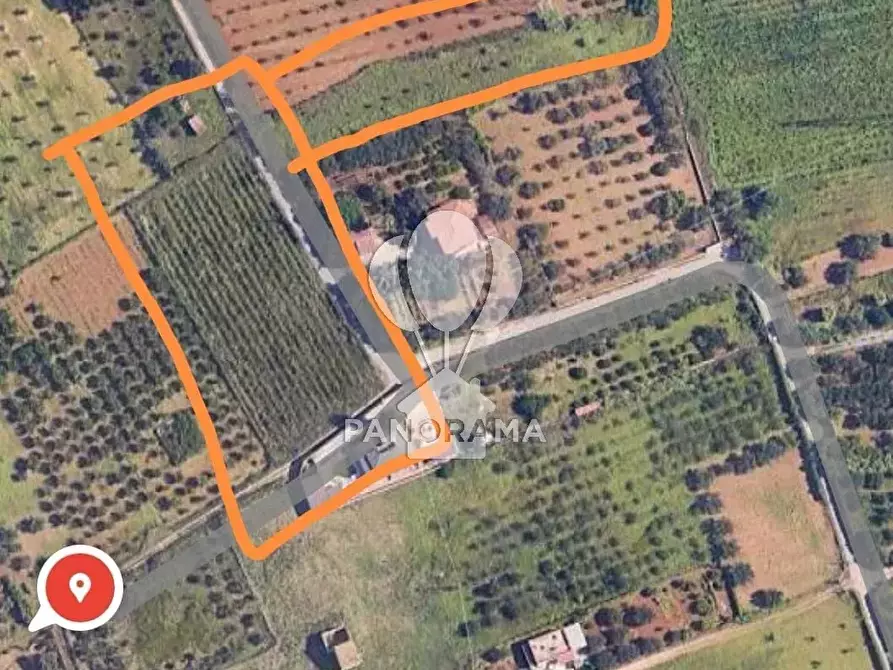 Immagine 4 di Terreno in vendita  in B&B falconeria a Partinico