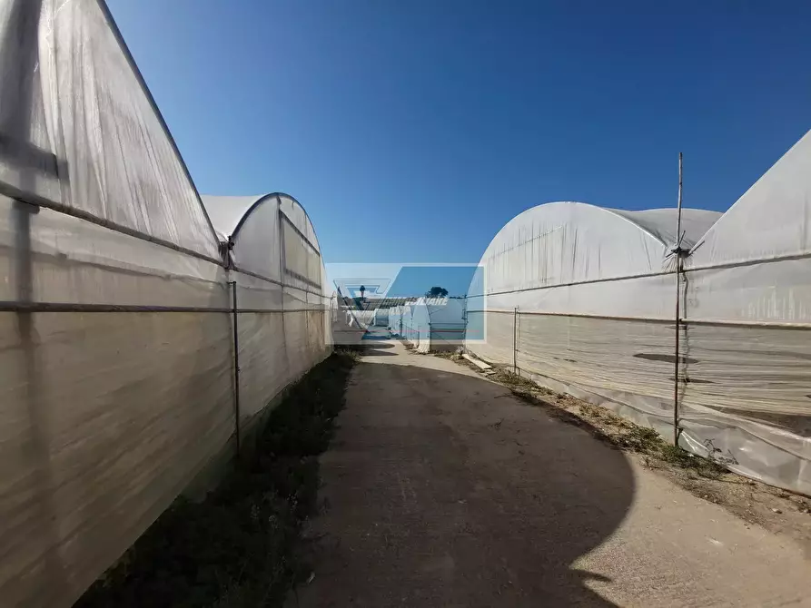 Immagine 7 di Attico in vendita  in CONTRADA GRANELLI a Pachino