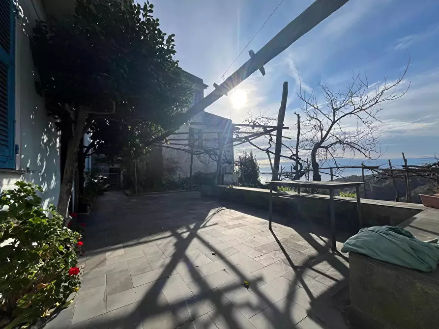 Immagine 4 di Terreno edificabile in vendita  in Sorlana a Lavagna