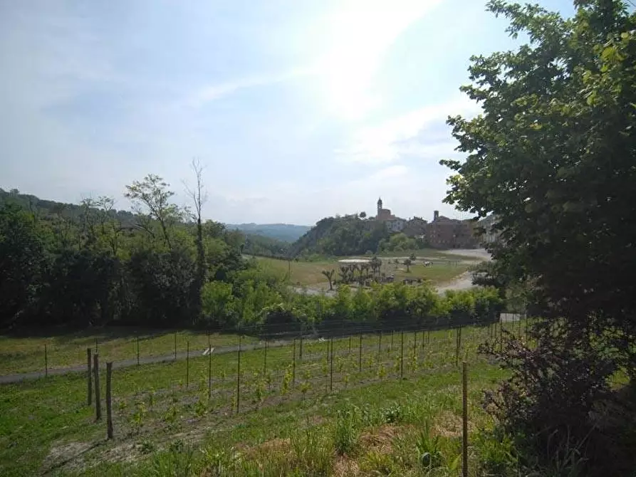 Immagine 3 di Terreno edificabile in vendita  a Barolo