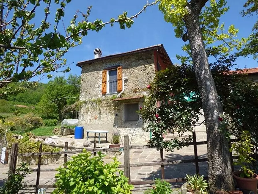 Immagine 1 di Terreno edificabile in vendita  a Albaretto Della Torre