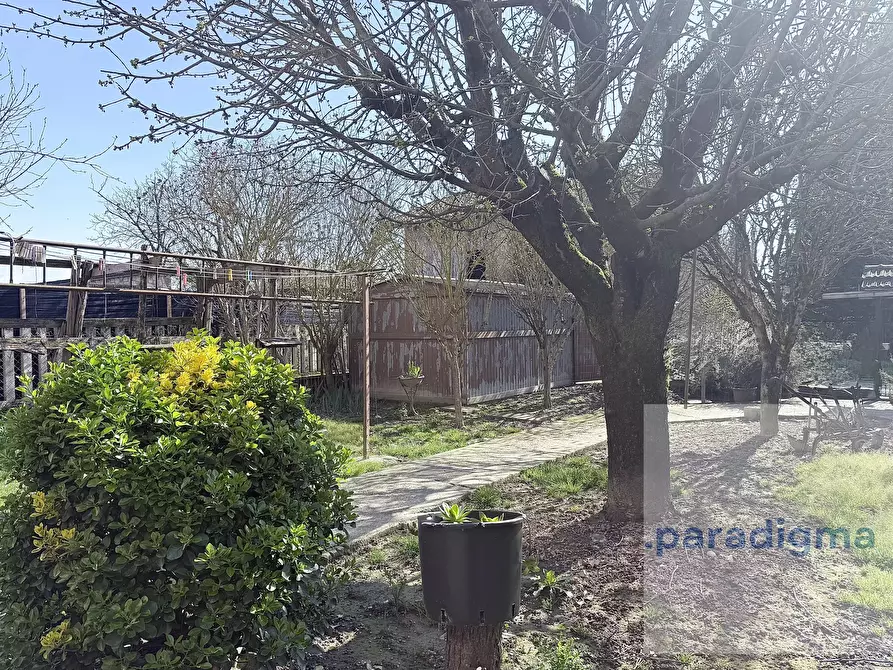 Immagine 3 di Casa trifamiliare in vendita  in Via Valenza a Alluvioni Cambio'