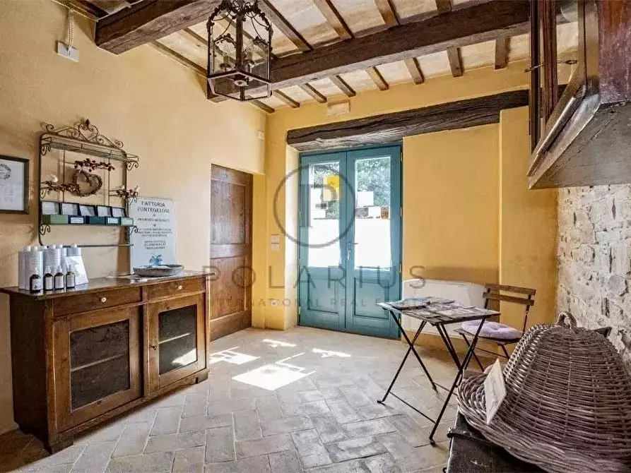 Immagine 5 di Terreno edificabile in vendita  in Serra San Quirico a Serra San Quirico