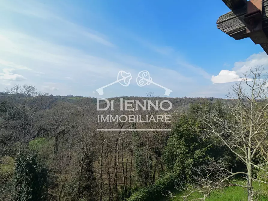 Immagine 15 di Terreno edificabile in vendita  in Comprensorio Colleromano a Canale Monterano
