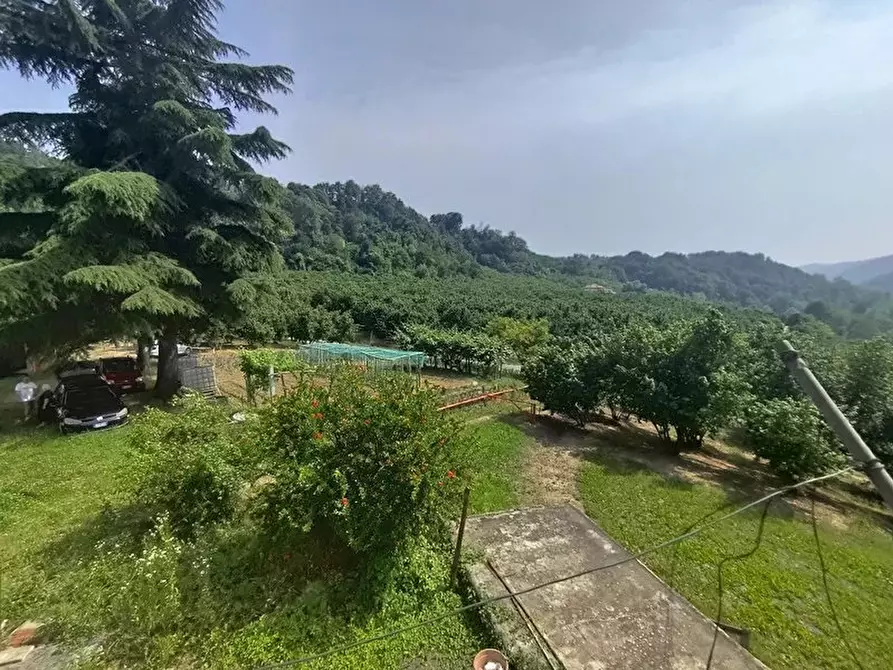 Immagine 37 di Terreno edificabile in vendita  a Albaretto Della Torre