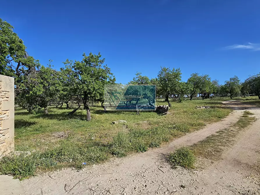 Immagine 5 di Terreno in vendita  in Strada Marina a Buccheri