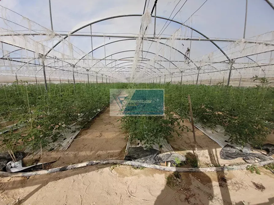 Immagine 2 di Attico in vendita  in CONTRADA GRANELLI a Pachino