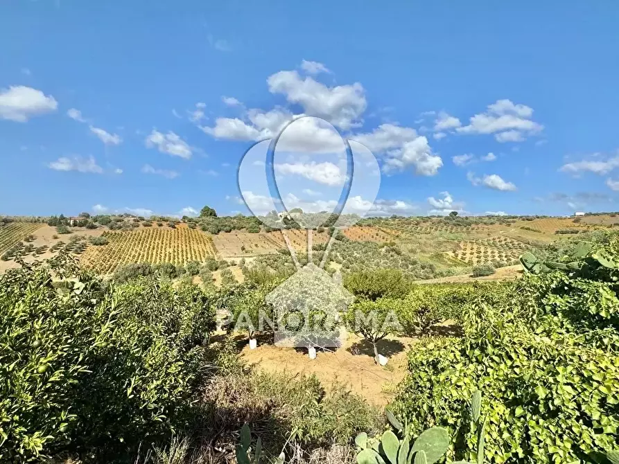 Immagine 22 di Terreno edificabile in vendita  in Contrada Casale a Alcamo