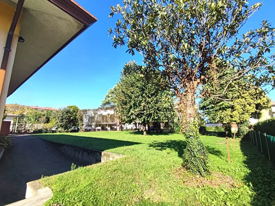 Immagine 6 di Terreno edificabile in vendita  a Vazzola