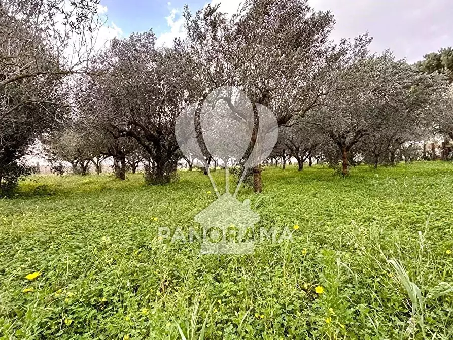 Immagine 15 di Terreno edificabile in vendita  in Contrada Bosco Falconeria SNC, 90047 Partinico PA, Italy a Partinico